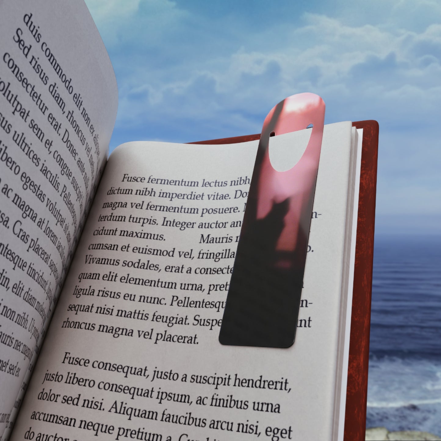 Collector's Bookmark - Cat in Window