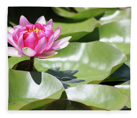 Blooming Through Adversity - Blanket