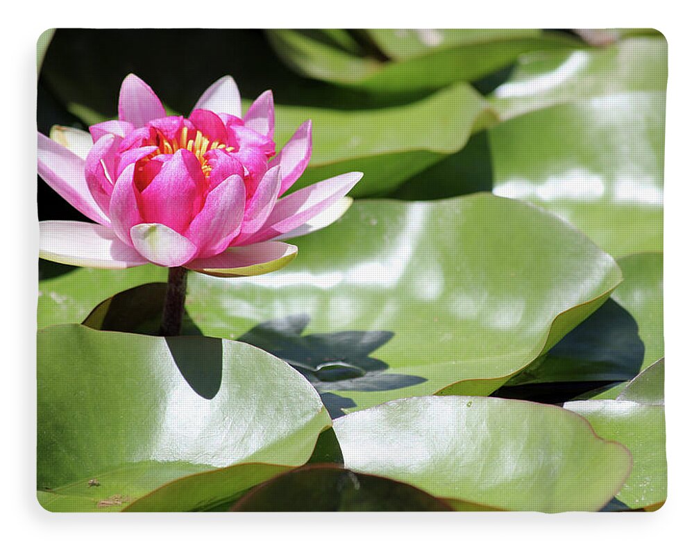 Blooming Through Adversity - Blanket