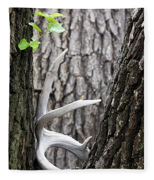 Bone Tree - Blanket