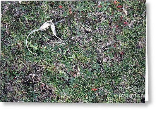 Broken Devil's Horns - Greeting Card