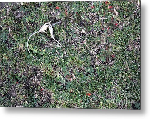Broken Devil's Horns - Metal Print