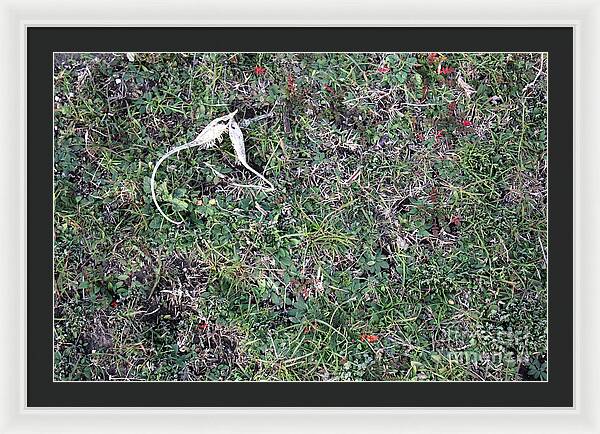 Broken Devil's Horns - Framed Print