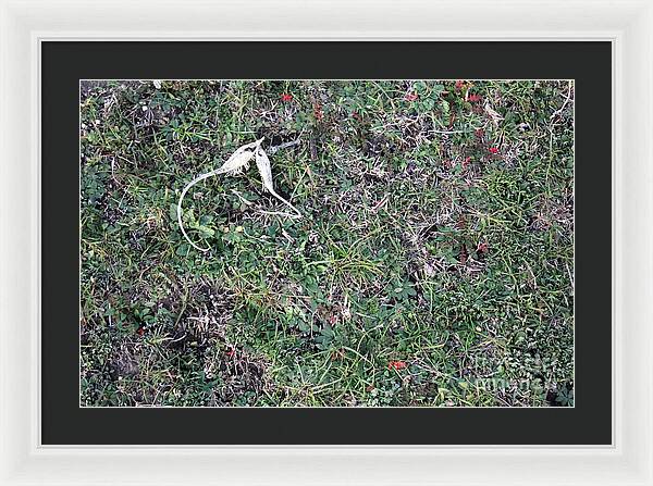 Broken Devil's Horns - Framed Print