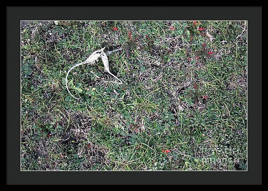 Broken Devil's Horns - Framed Print