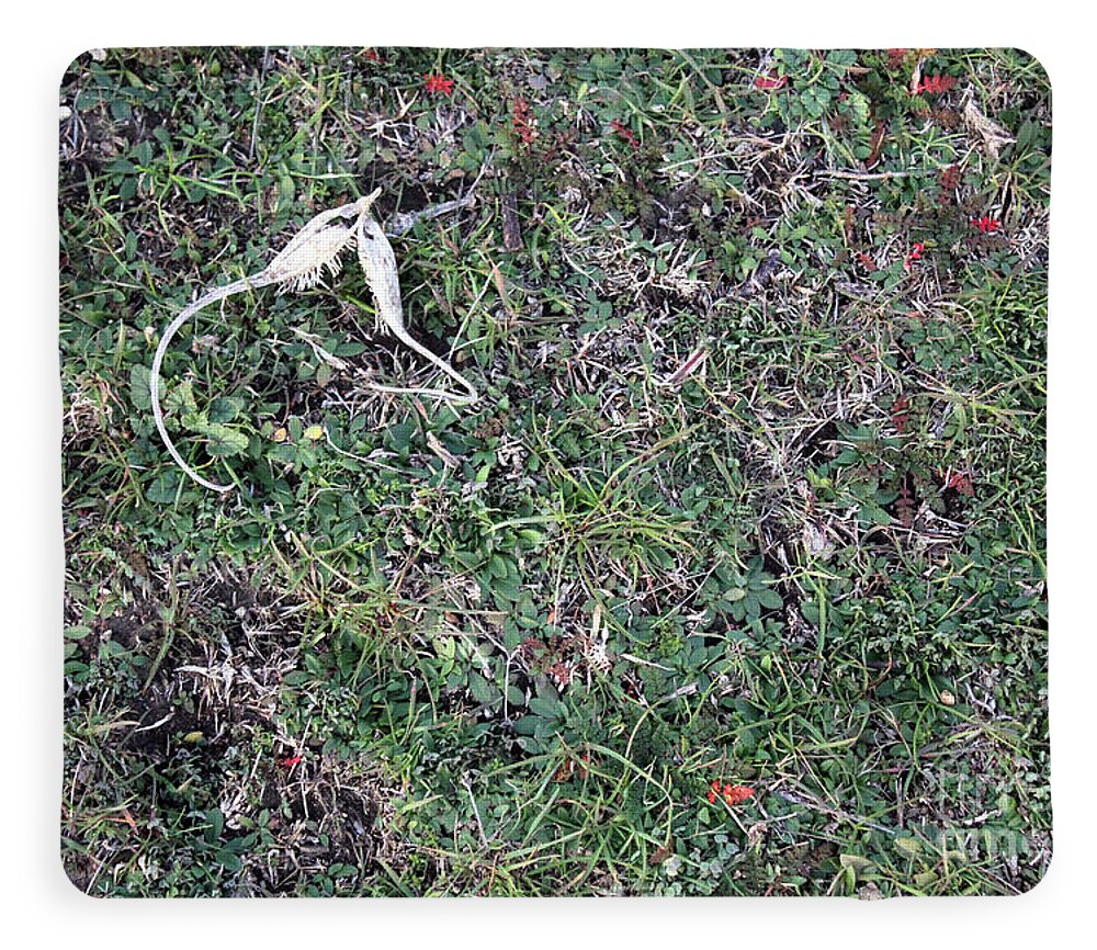 Broken Devil's Horns - Blanket