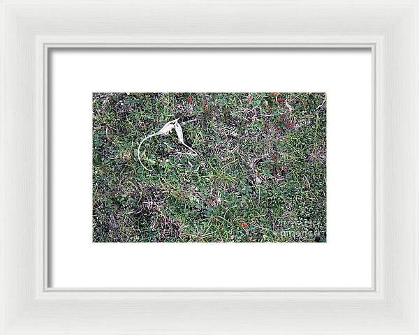 Broken Devil's Horns - Framed Print