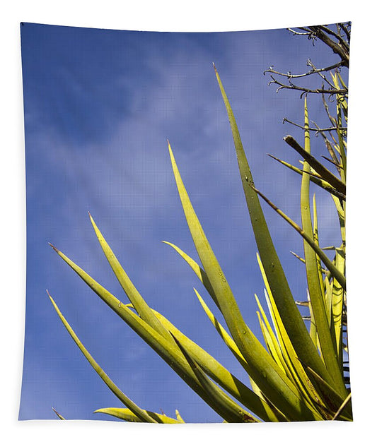 Cactus Colors - Tapestry