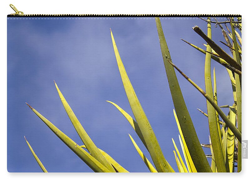 Cactus Colors - Zip Pouch