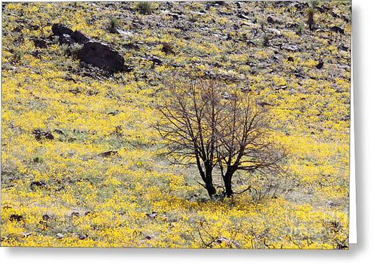 Cloaked in Yellow - Greeting Card