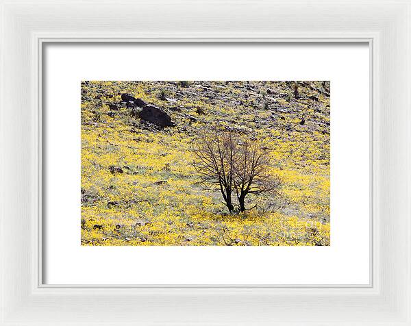 Cloaked in Yellow - Framed Print