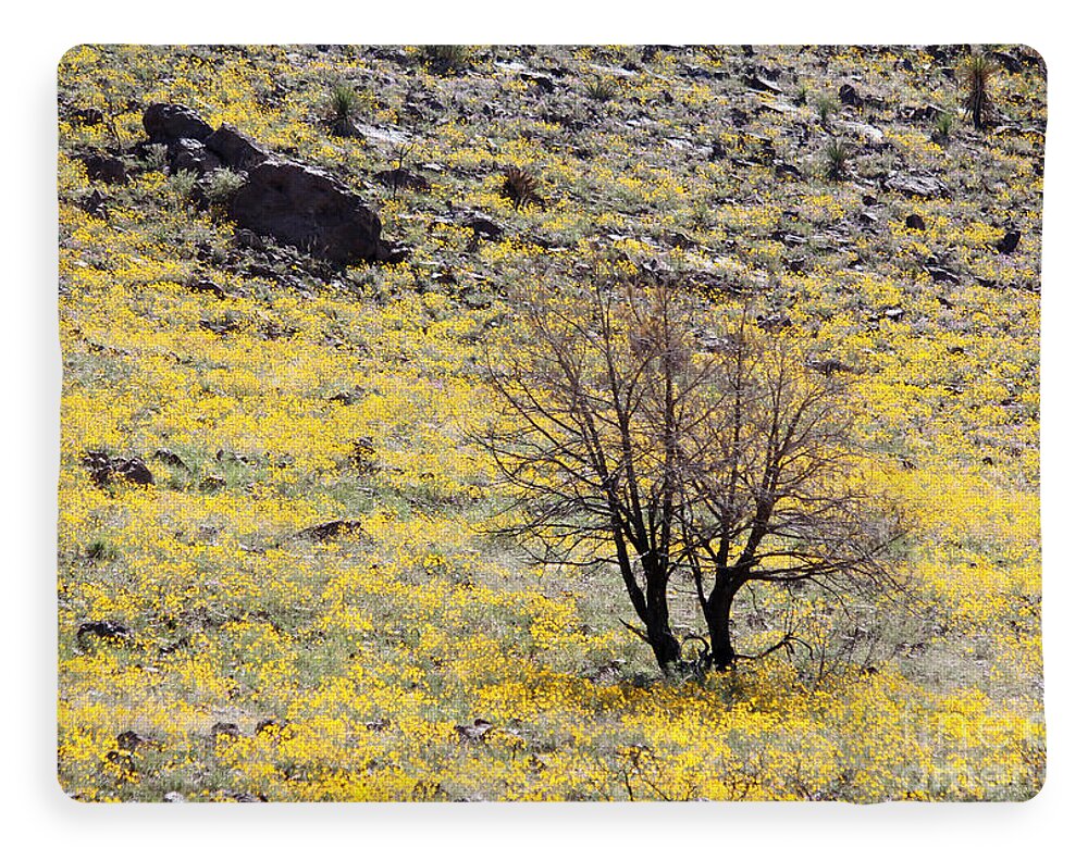 Cloaked in Yellow - Blanket