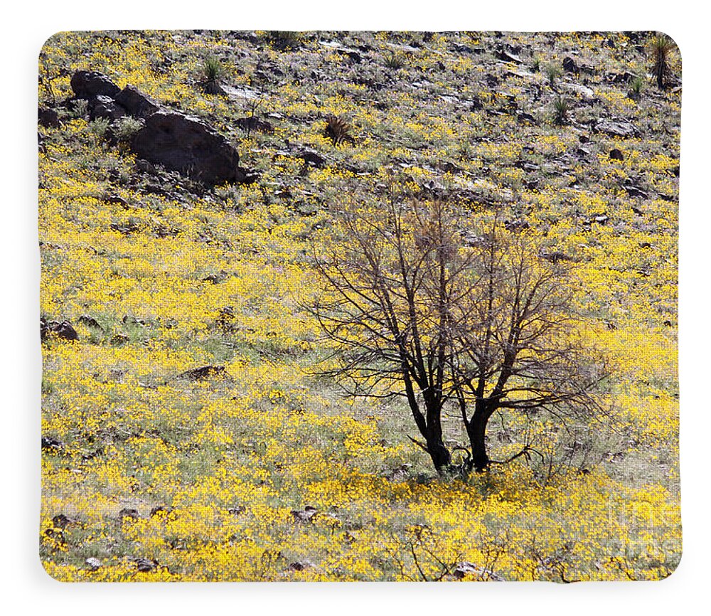 Cloaked in Yellow - Blanket