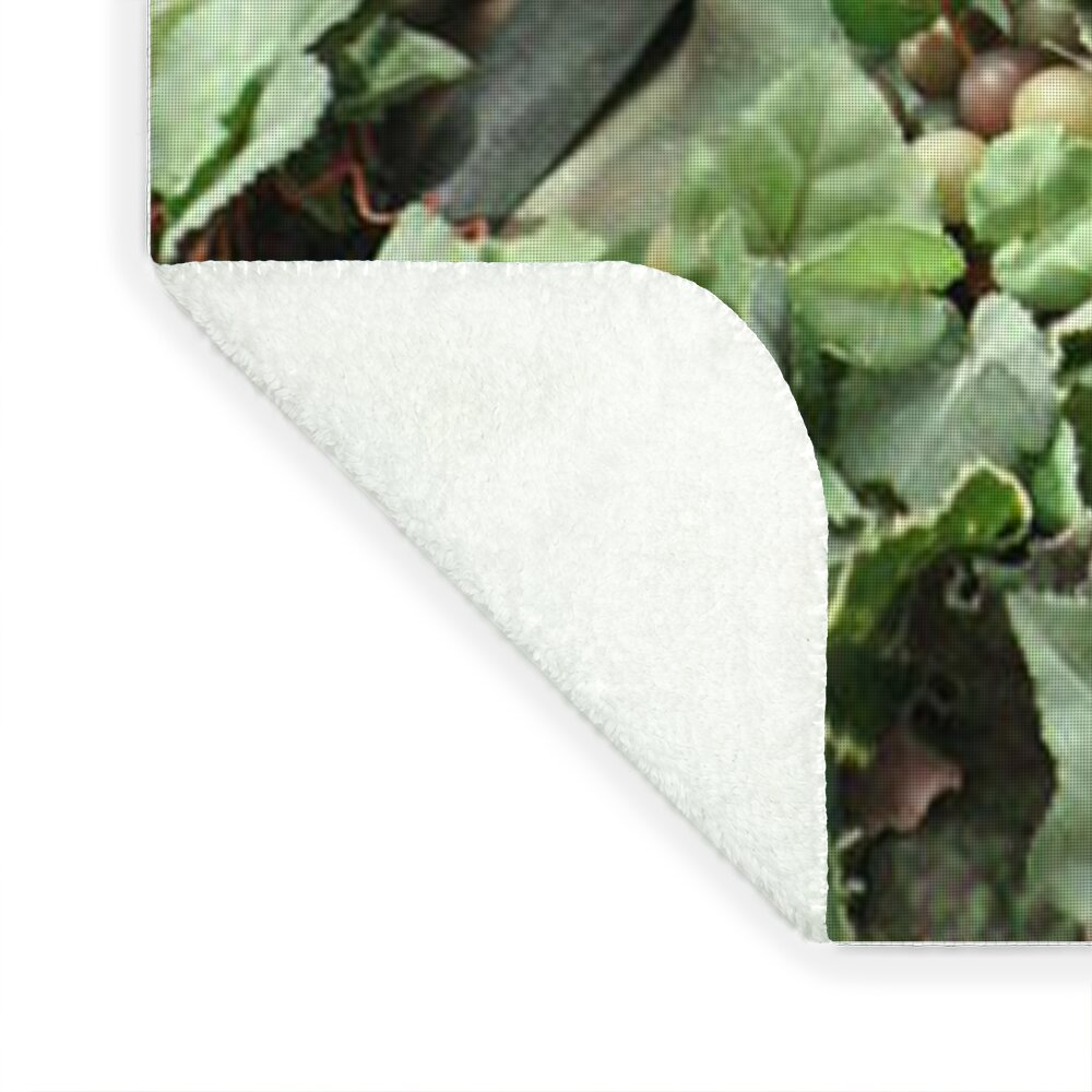 Flora - Blanket