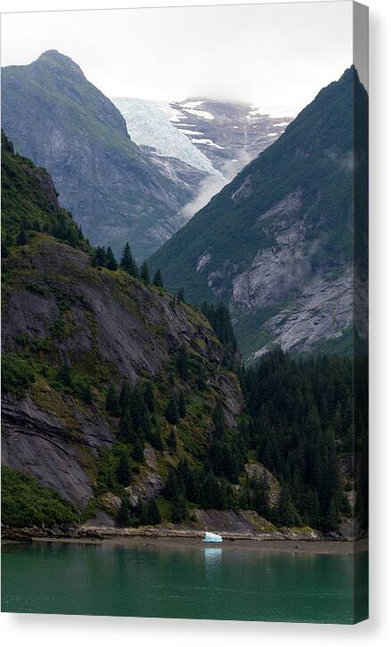 Ice Origins - Canvas Print