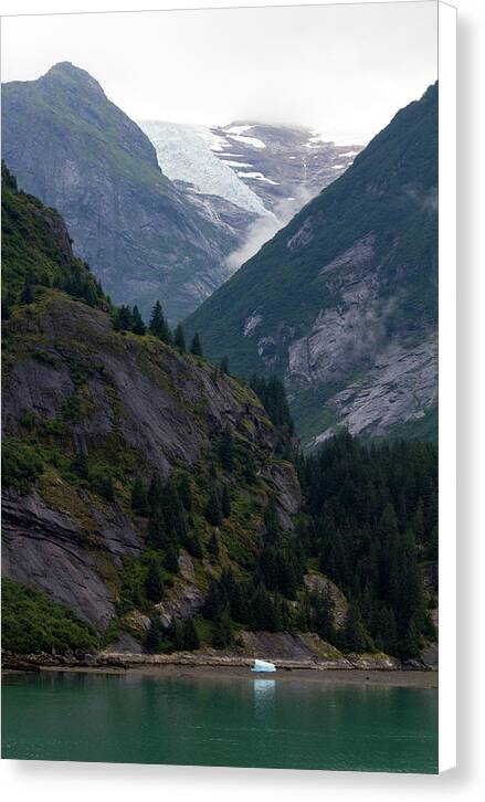 Ice Origins - Canvas Print