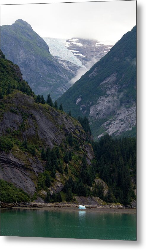 Ice Origins - Metal Print