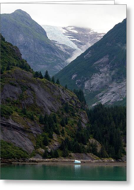 Ice Origins - Greeting Card