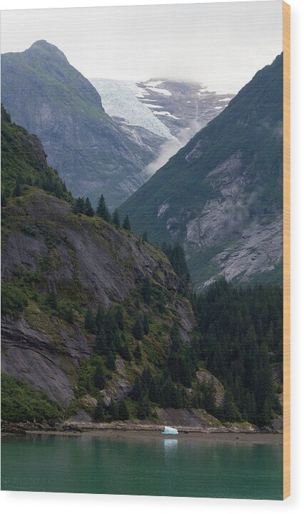 Ice Origins - Wood Print