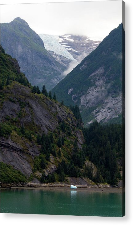 Ice Origins - Acrylic Print