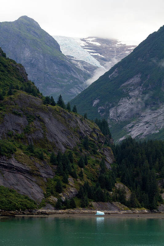 Ice Origins - Art Print