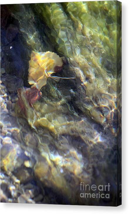 Liquid Leaves 2 - Canvas Print