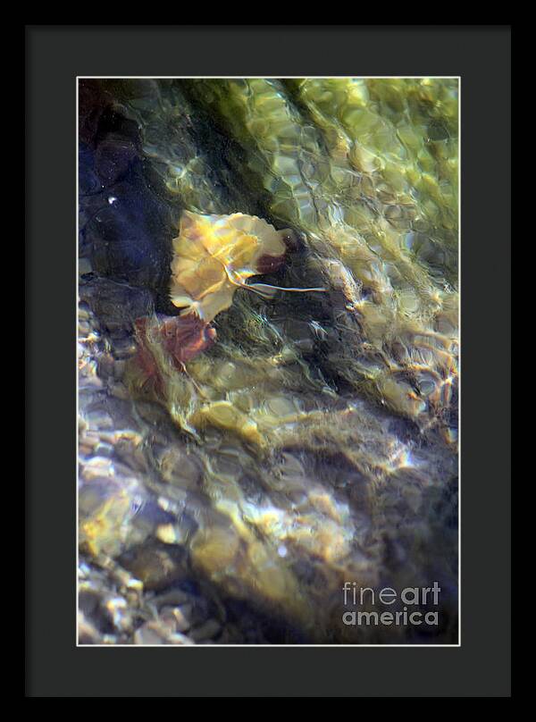 Liquid Leaves 2 - Framed Print