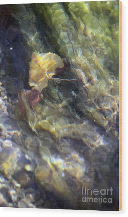 Liquid Leaves 2 - Wood Print