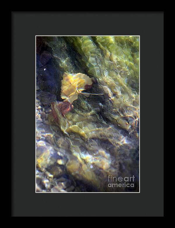 Liquid Leaves 2 - Framed Print
