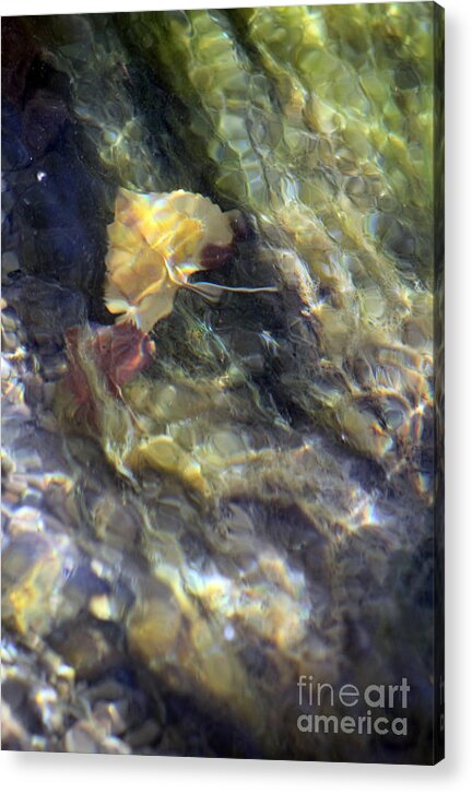 Liquid Leaves 2 - Acrylic Print