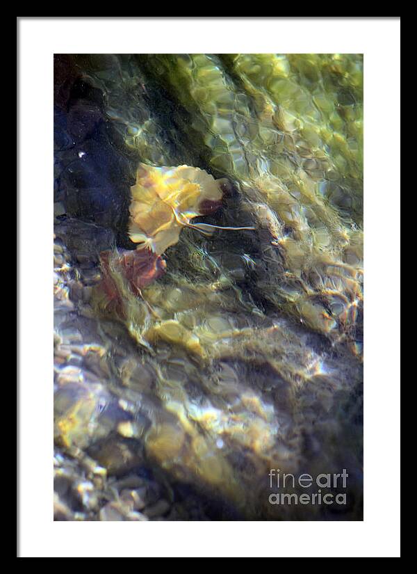 Liquid Leaves 2 - Framed Print