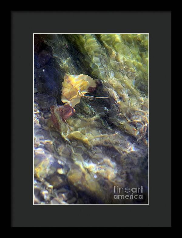 Liquid Leaves 2 - Framed Print