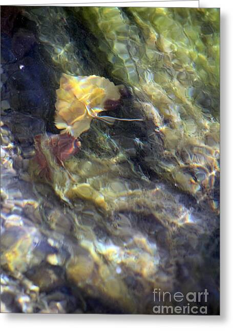 Liquid Leaves 2 - Greeting Card