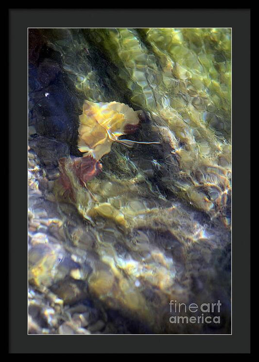 Liquid Leaves 2 - Framed Print