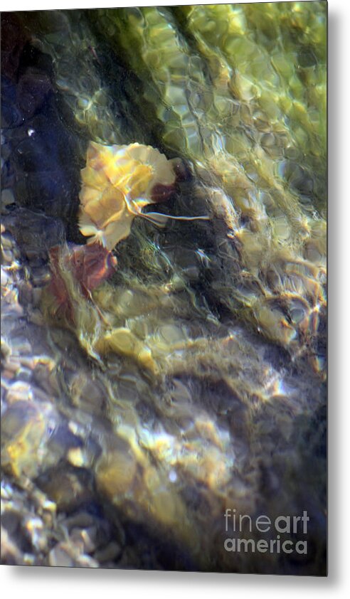 Liquid Leaves 2 - Metal Print