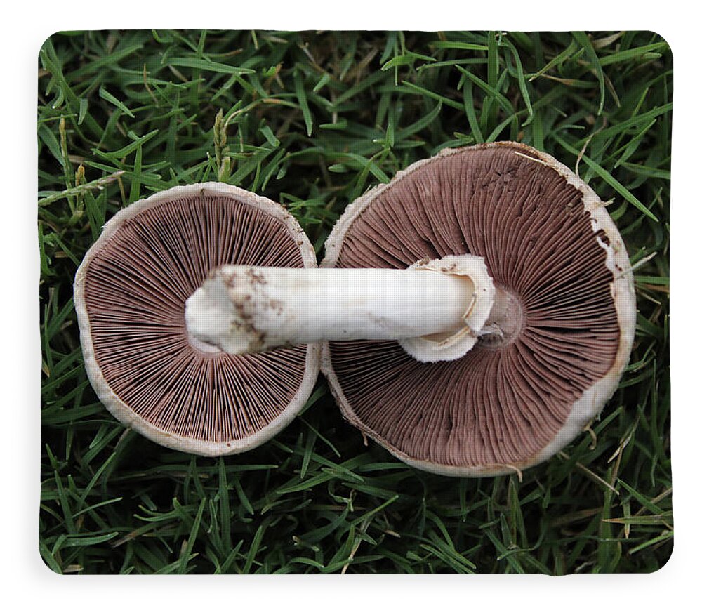Mushroom Duet - Blanket