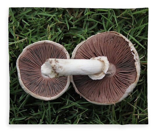 Mushroom Duet - Blanket