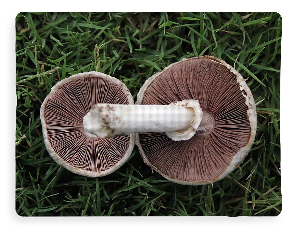 Mushroom Duet - Blanket