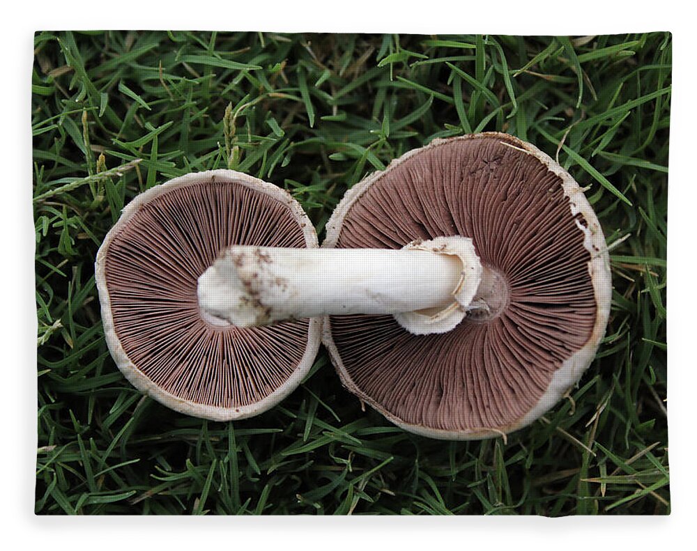 Mushroom Duet - Blanket