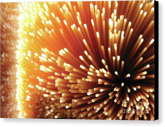 Pasta Illumination - Canvas Print