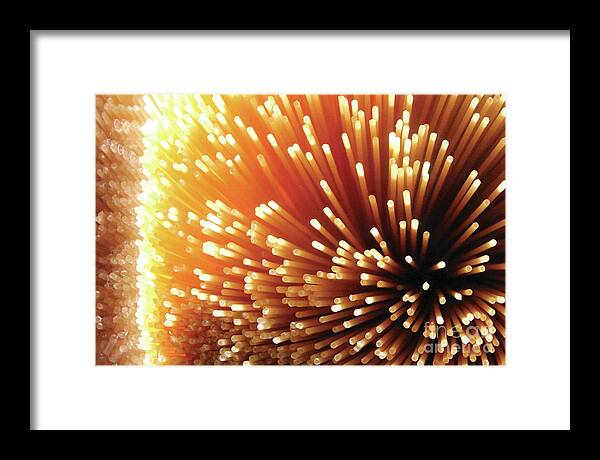 Pasta Illumination - Framed Print