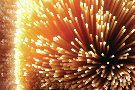 Pasta Illumination - Art Print