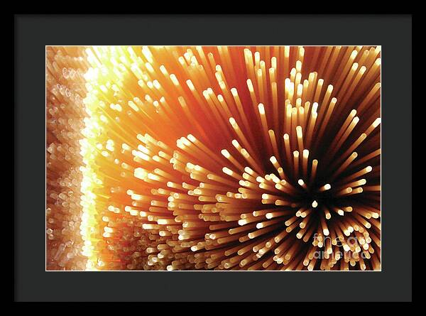 Pasta Illumination - Framed Print