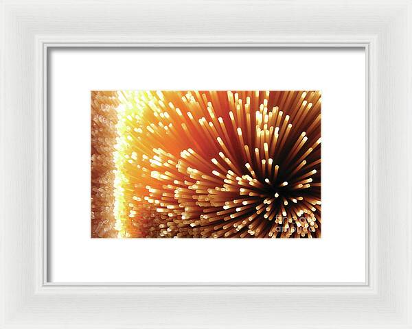 Pasta Illumination - Framed Print