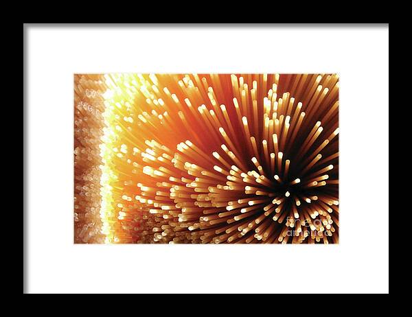 Pasta Illumination - Framed Print