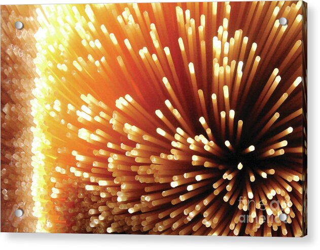 Pasta Illumination - Acrylic Print