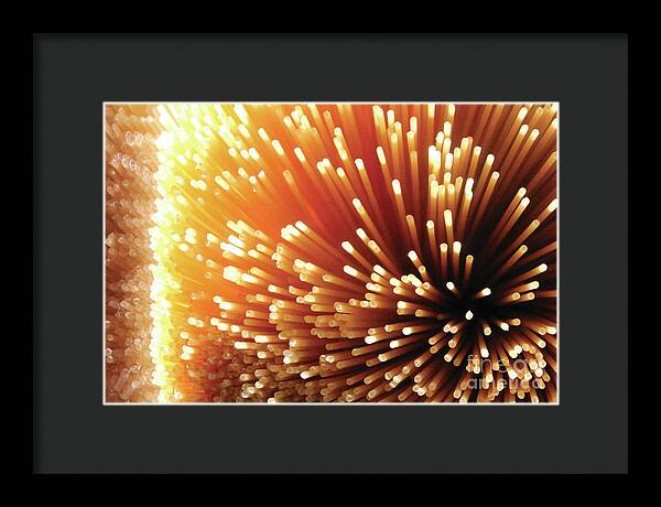 Pasta Illumination - Framed Print