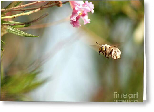 The Pollinator - Greeting Card