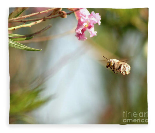 The Pollinator - Blanket