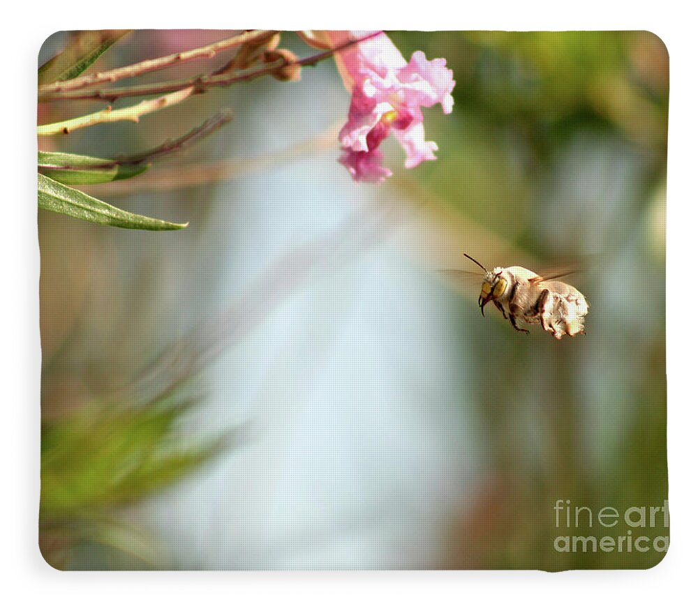 The Pollinator - Blanket